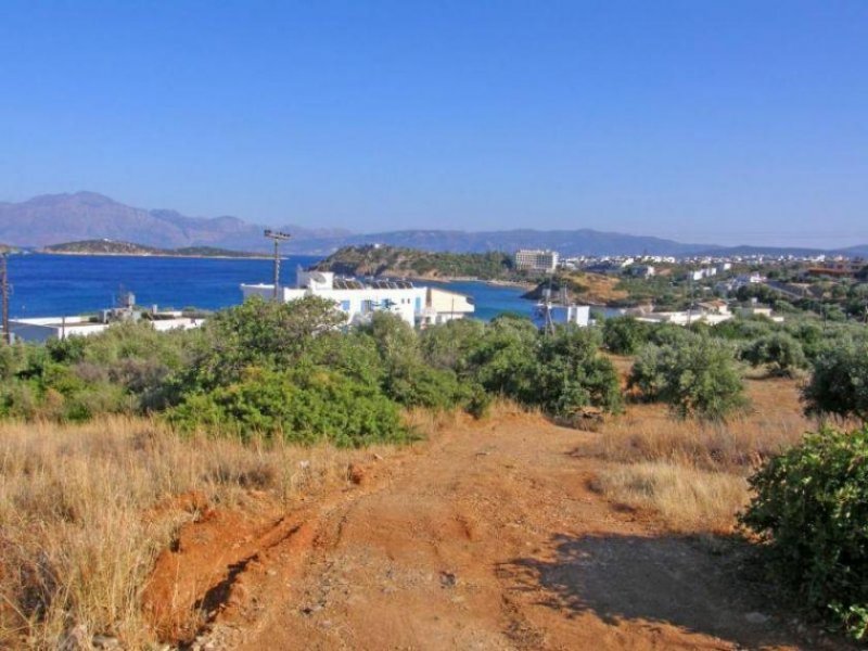 Agios Nikolaos Kreta, Agios Nikolaos: 2 angrenzende Grundstücke in fantastischer Lage zu verkaufen Grundstück kaufen